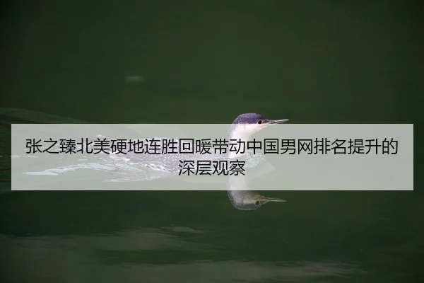 张之臻北美硬地连胜回暖带动中国男网排名提升的深层观察